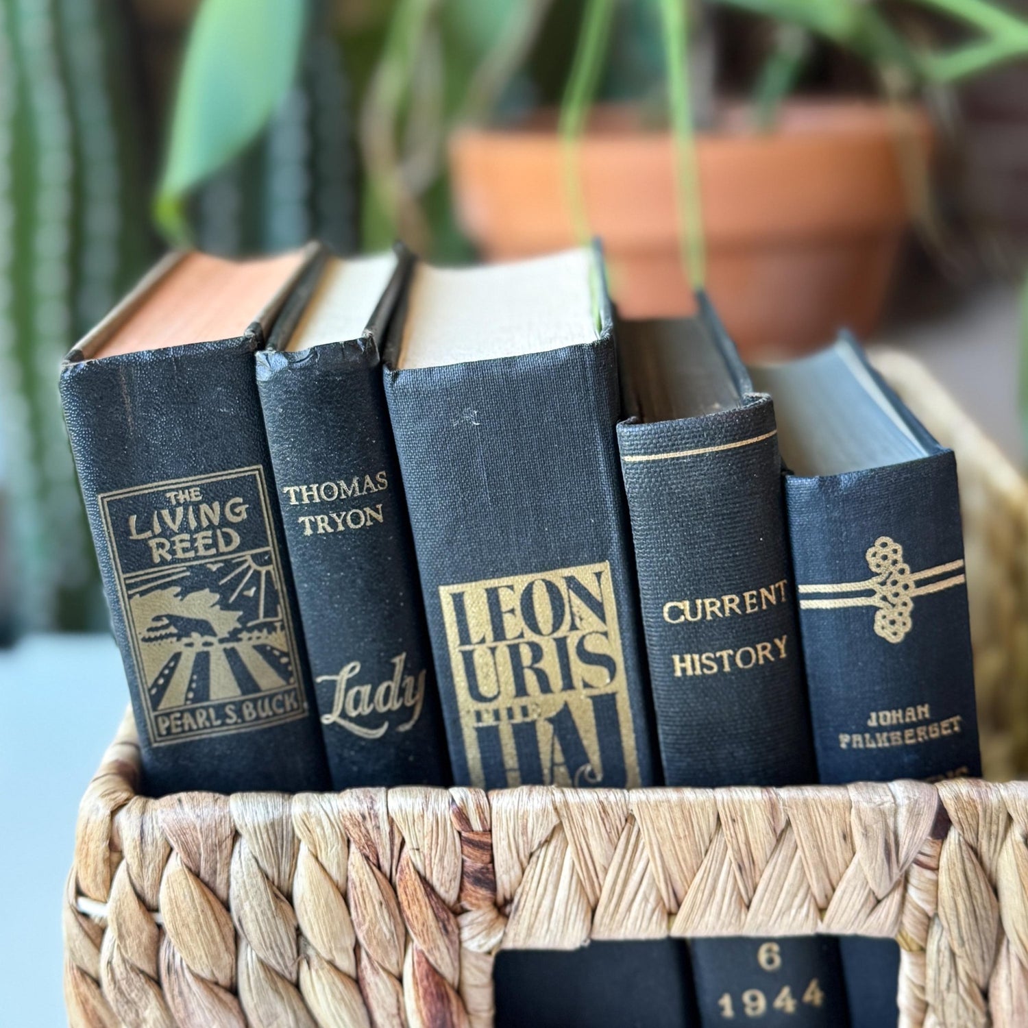 Black Vintage Book Bundle for Dark Academia Shelf Styling - Pretty Old Books