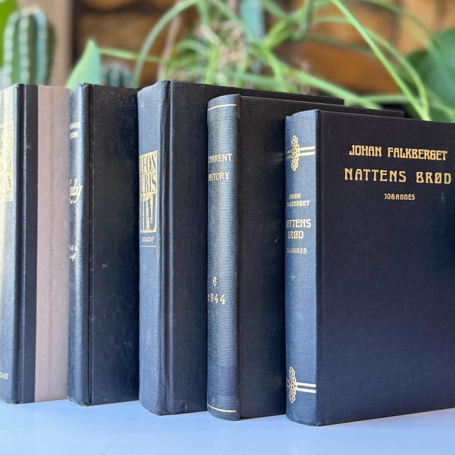 Black Vintage Book Bundle for Dark Academia Shelf Styling - Pretty Old Books