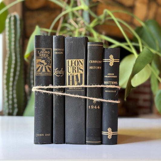 Black Vintage Book Bundle for Dark Academia Shelf Styling - Pretty Old Books