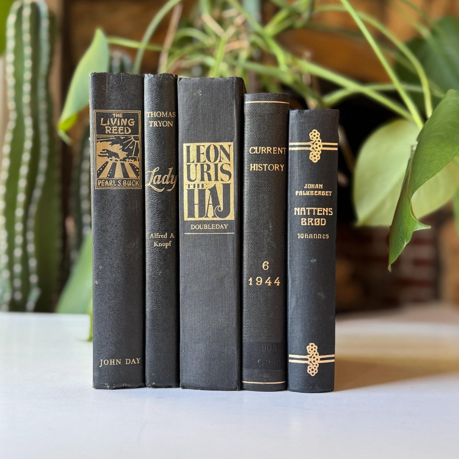 Black Vintage Book Bundle for Dark Academia Shelf Styling - Pretty Old Books
