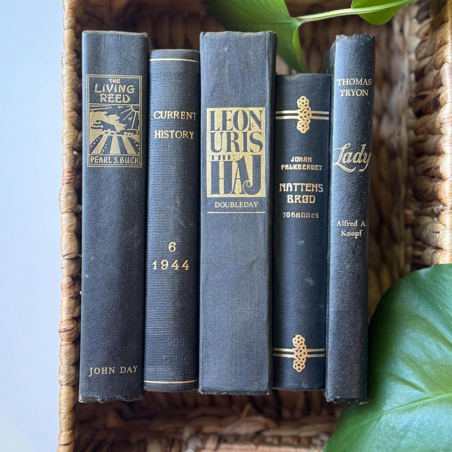 Black Vintage Book Bundle for Dark Academia Shelf Styling - Pretty Old Books