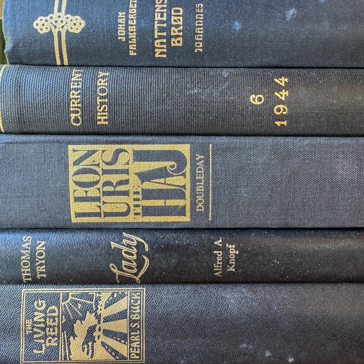 Black Vintage Book Bundle for Dark Academia Shelf Styling - Pretty Old Books