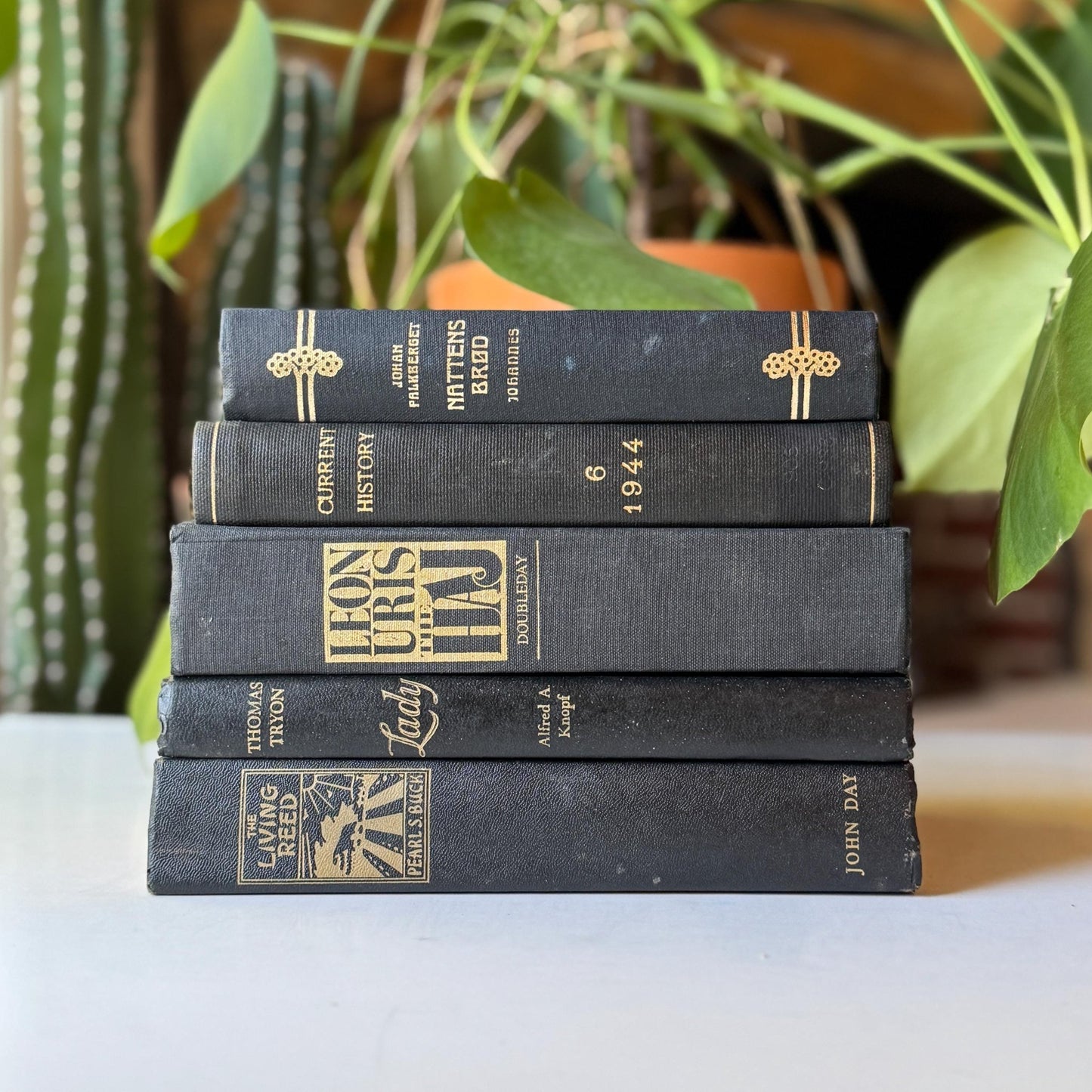 Black Vintage Book Bundle for Dark Academia Shelf Styling - Pretty Old Books