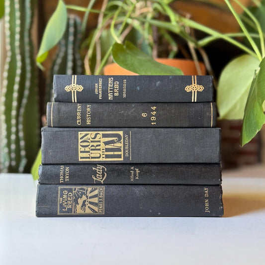 Black Vintage Book Bundle for Dark Academia Shelf Styling - Pretty Old Books