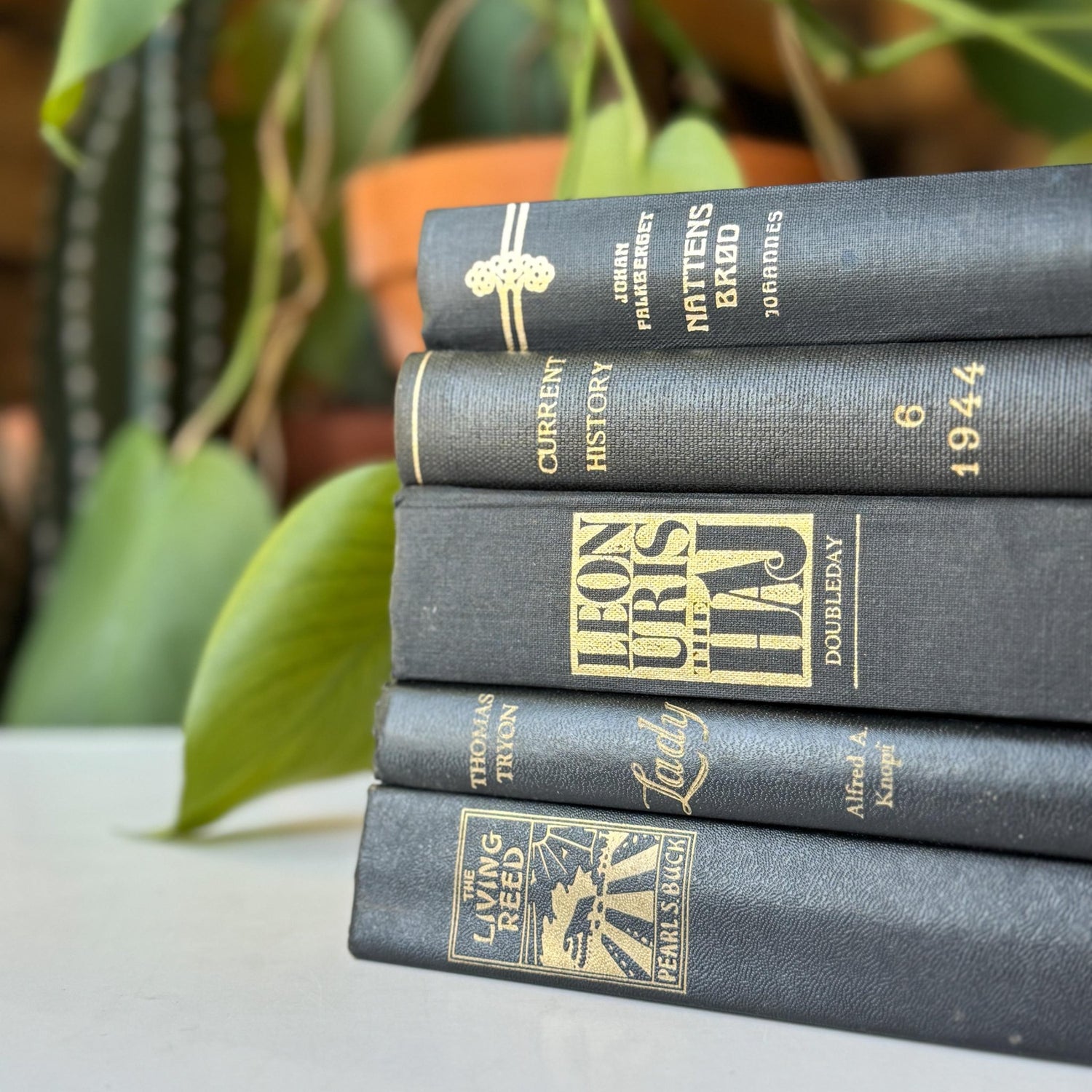 Black Vintage Book Bundle for Dark Academia Shelf Styling - Pretty Old Books