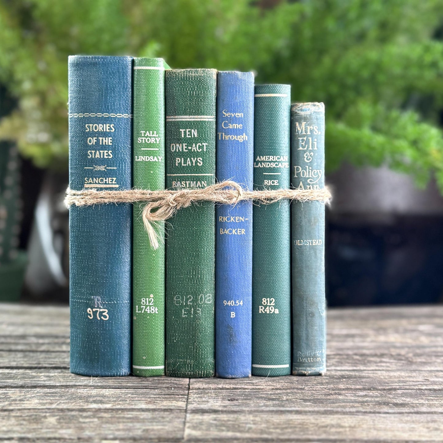 Blue and Green Minimalist Vintage Books for Bookshelf Decor - Pretty Old Books