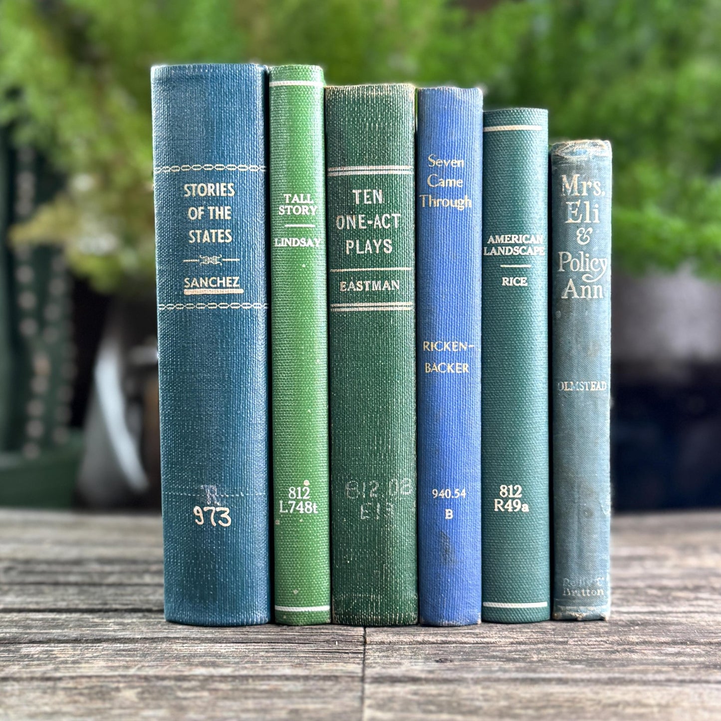 Blue and Green Minimalist Vintage Books for Bookshelf Decor - Pretty Old Books