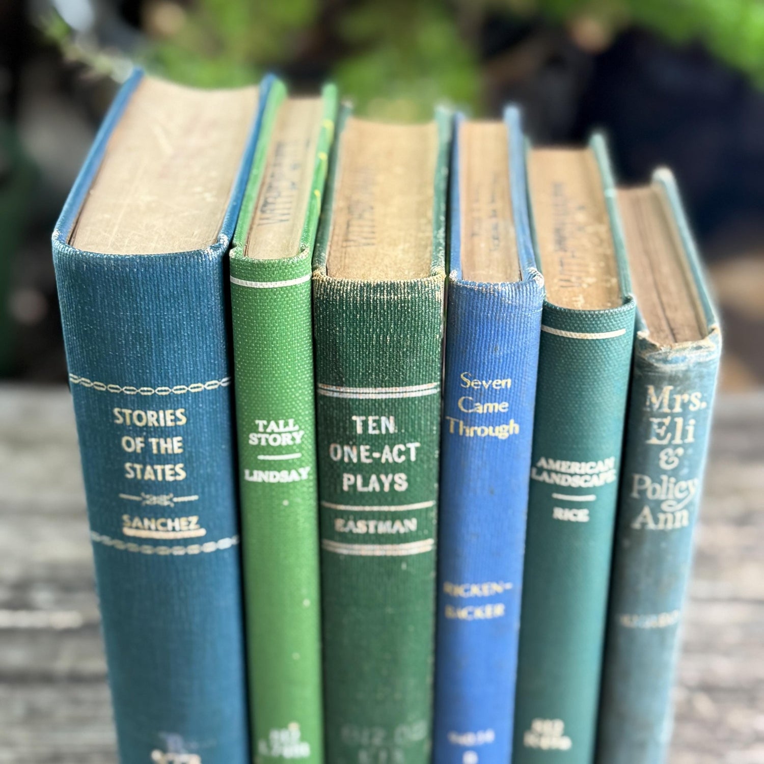 Blue and Green Minimalist Vintage Books for Bookshelf Decor - Pretty Old Books