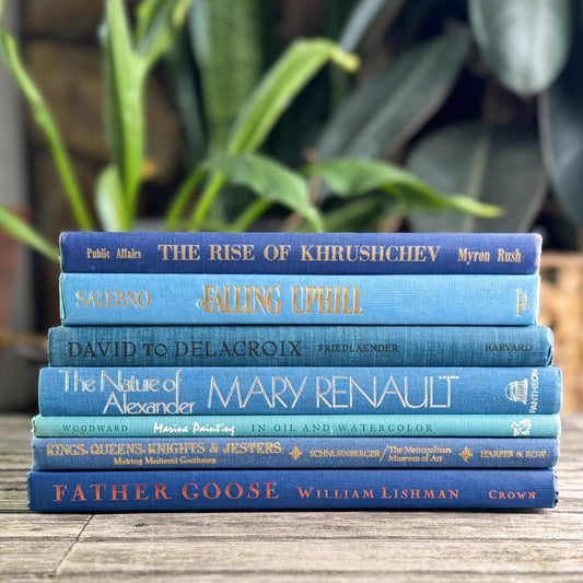 Blue Tall and Thin Mixed Vintage Books for Shelf Styling - Pretty Old Books