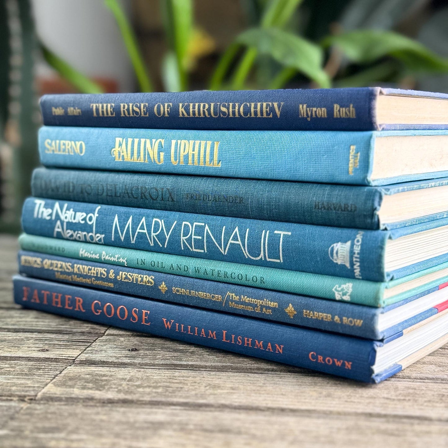 Blue Tall and Thin Mixed Vintage Books for Shelf Styling - Pretty Old Books