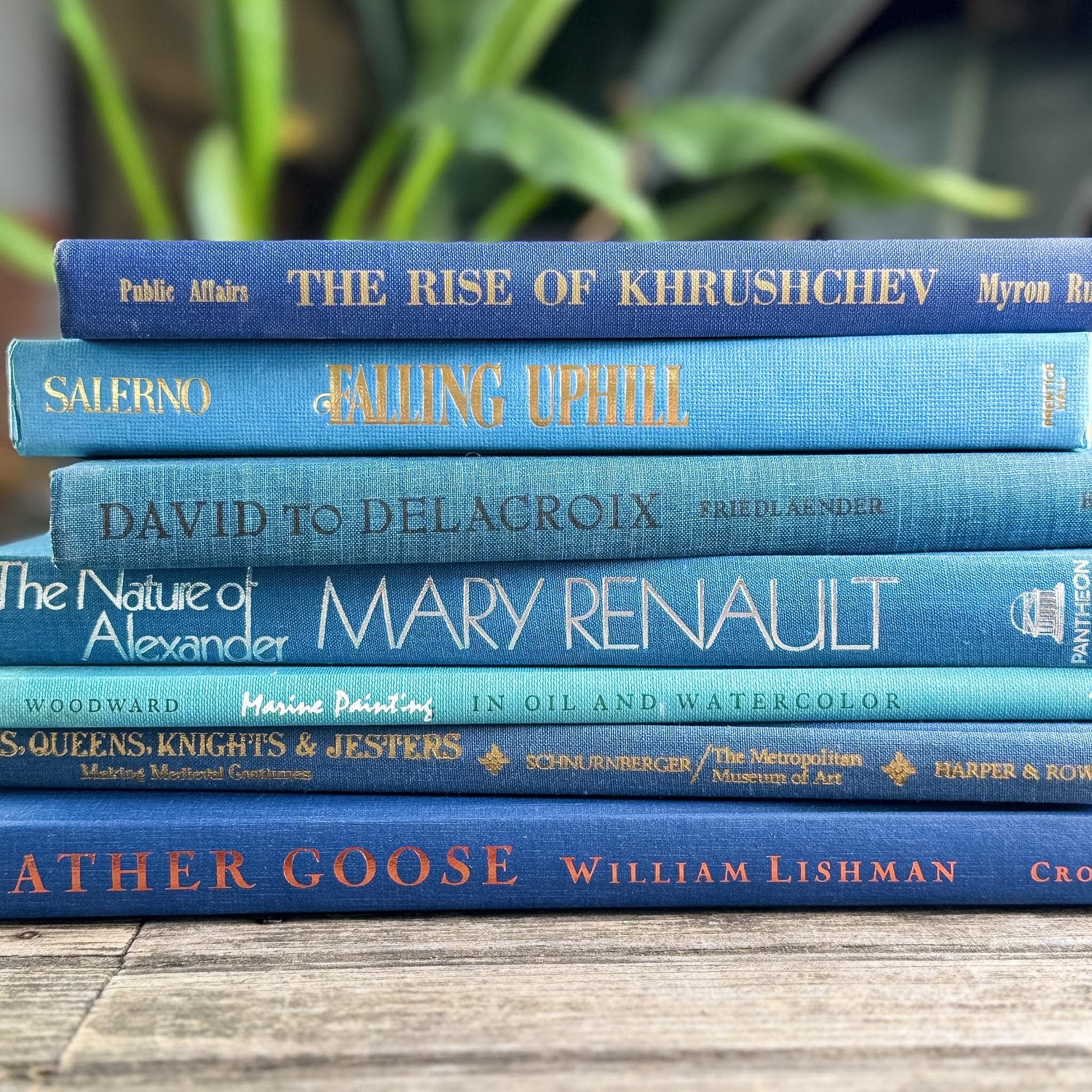 Blue Tall and Thin Mixed Vintage Books for Shelf Styling - Pretty Old Books
