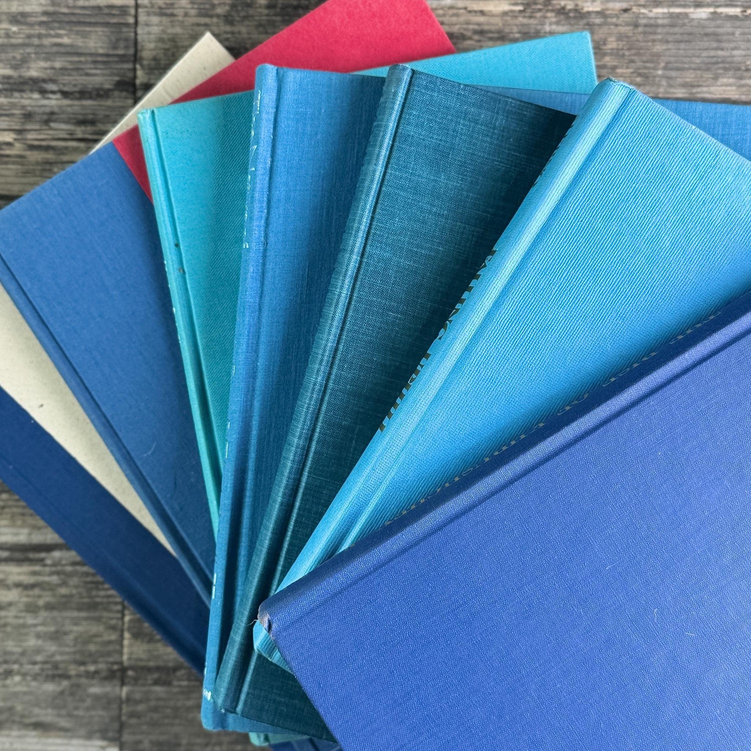 Blue Tall and Thin Mixed Vintage Books for Shelf Styling - Pretty Old Books