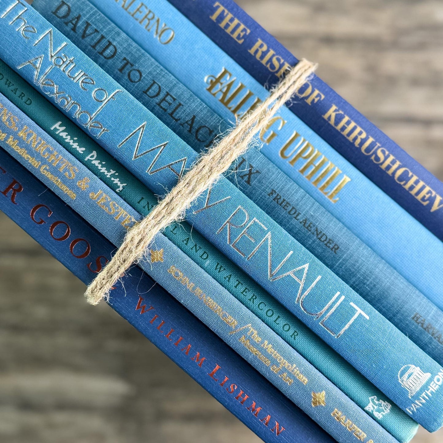 Blue Tall and Thin Mixed Vintage Books for Shelf Styling - Pretty Old Books