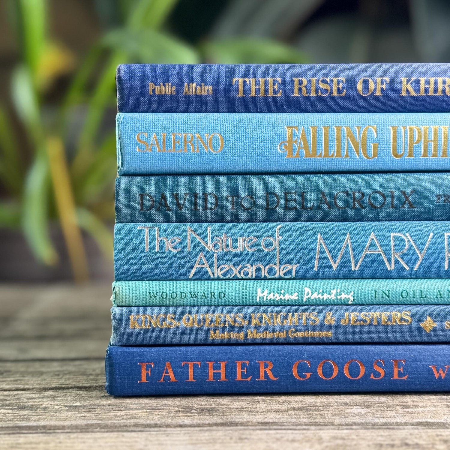 Blue Tall and Thin Mixed Vintage Books for Shelf Styling - Pretty Old Books