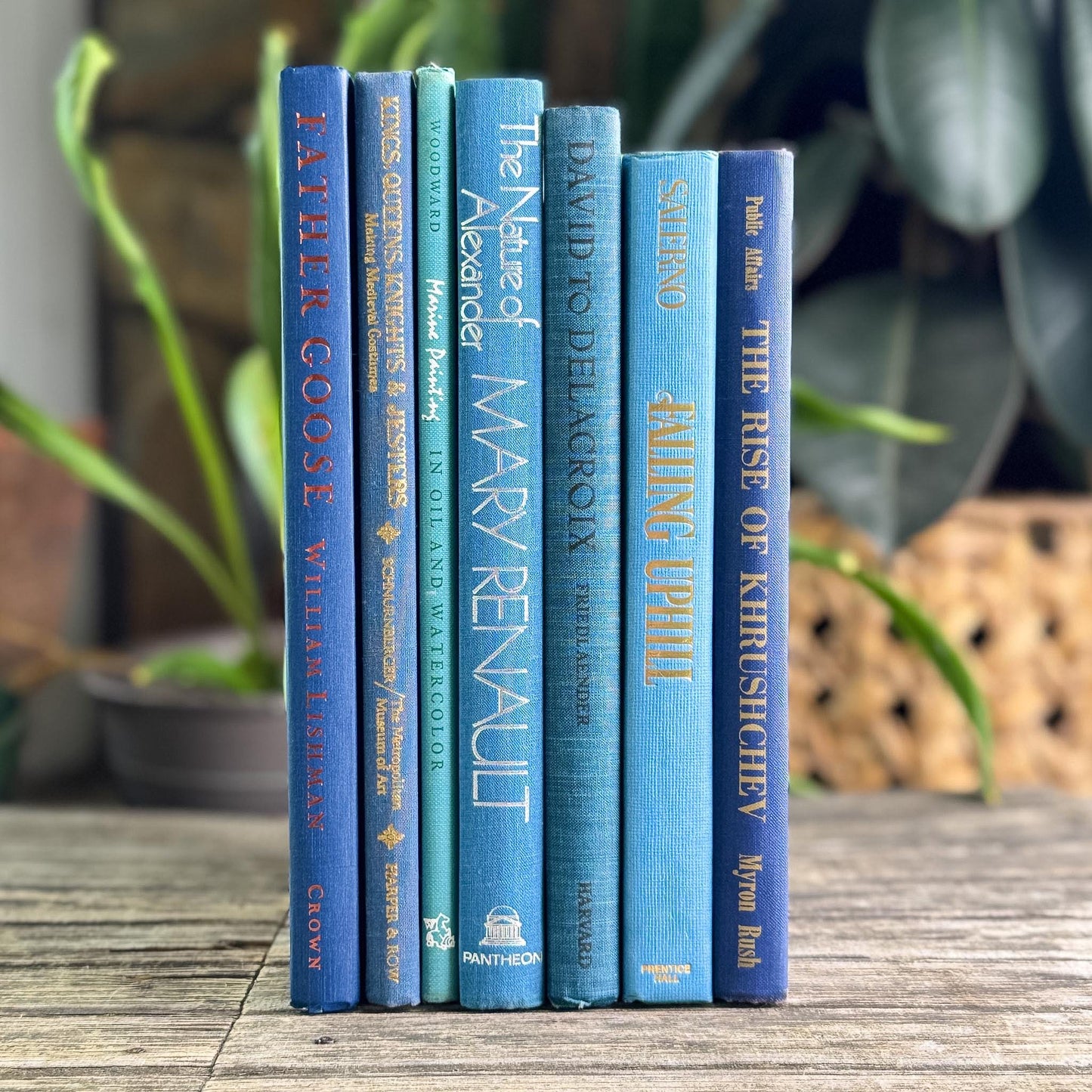 Blue Tall and Thin Mixed Vintage Books for Shelf Styling - Pretty Old Books