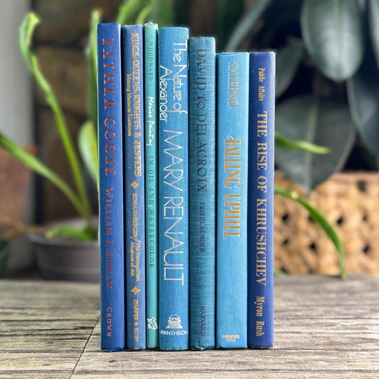Blue Tall and Thin Mixed Vintage Books for Shelf Styling - Pretty Old Books