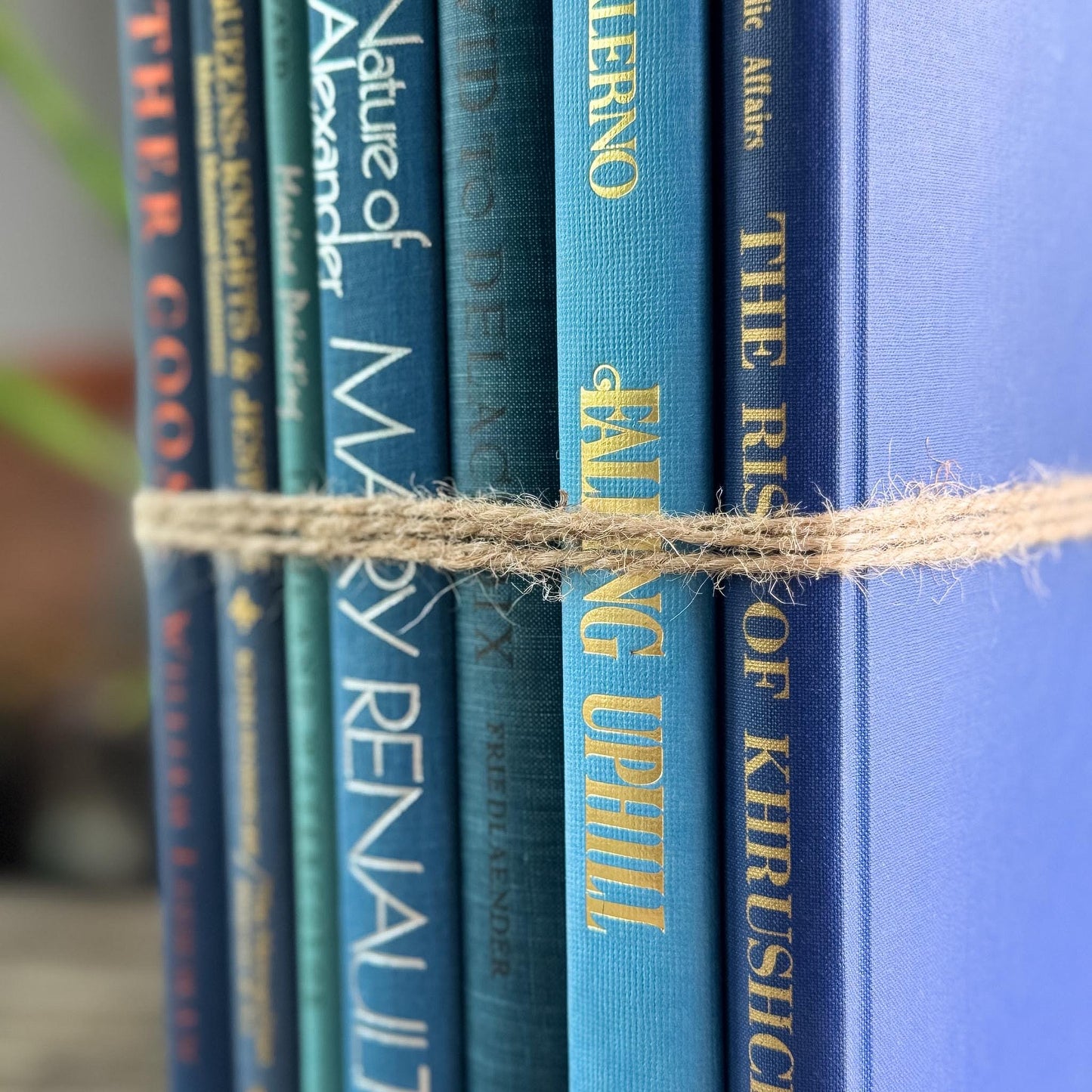 Blue Tall and Thin Mixed Vintage Books for Shelf Styling - Pretty Old Books