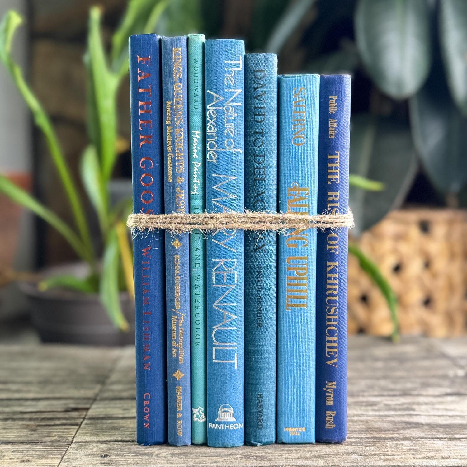 Blue Tall and Thin Mixed Vintage Books for Shelf Styling - Pretty Old Books