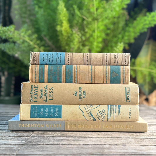 Blue & Tan Soft and Cozy Vintage Book Bundle - Pretty Old Books