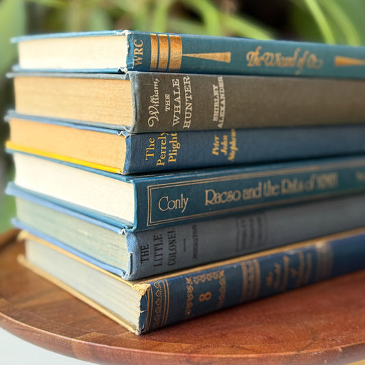 Blue Vintage Children’s Book Bundle Classic Stories for Shelf Styling and Decor - Pretty Old Books