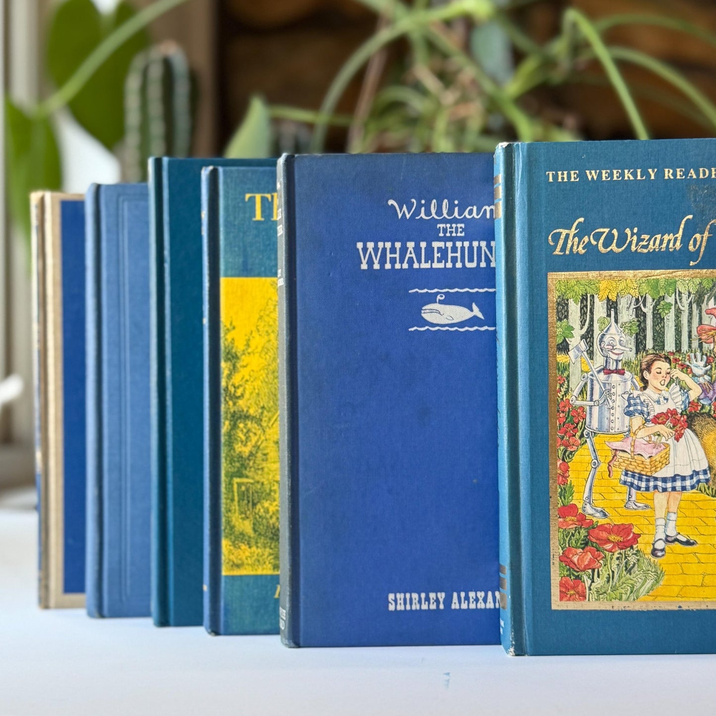 Blue Vintage Children’s Book Bundle Classic Stories for Shelf Styling and Decor - Pretty Old Books