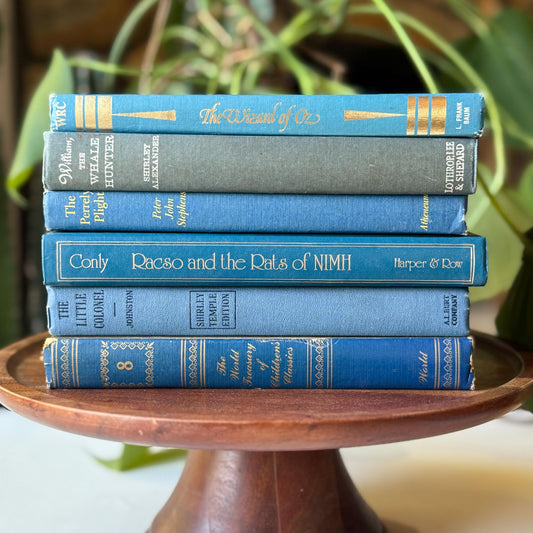 Blue Vintage Children’s Book Bundle Classic Stories for Shelf Styling and Decor - Pretty Old Books