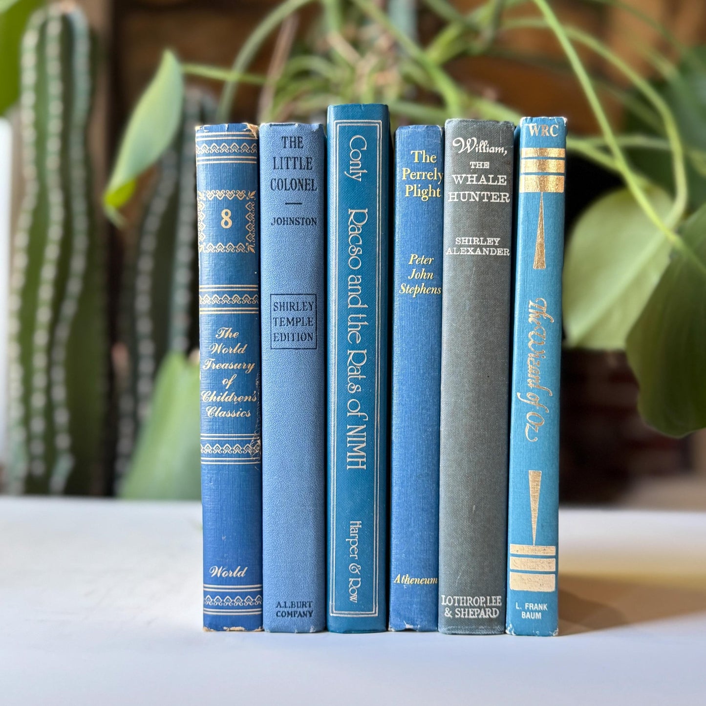 Blue Vintage Children’s Book Bundle Classic Stories for Shelf Styling and Decor - Pretty Old Books