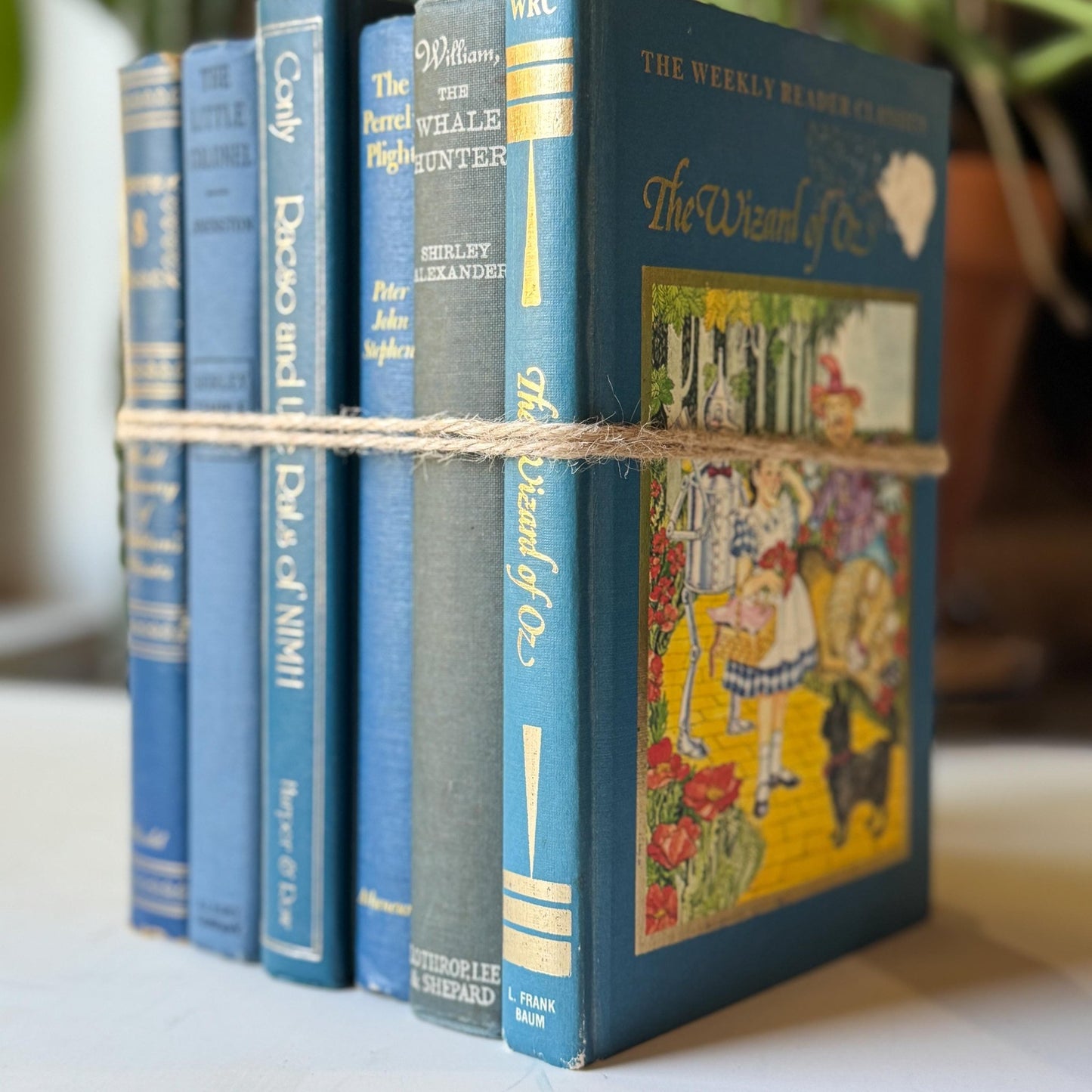 Blue Vintage Children’s Book Bundle Classic Stories for Shelf Styling and Decor - Pretty Old Books