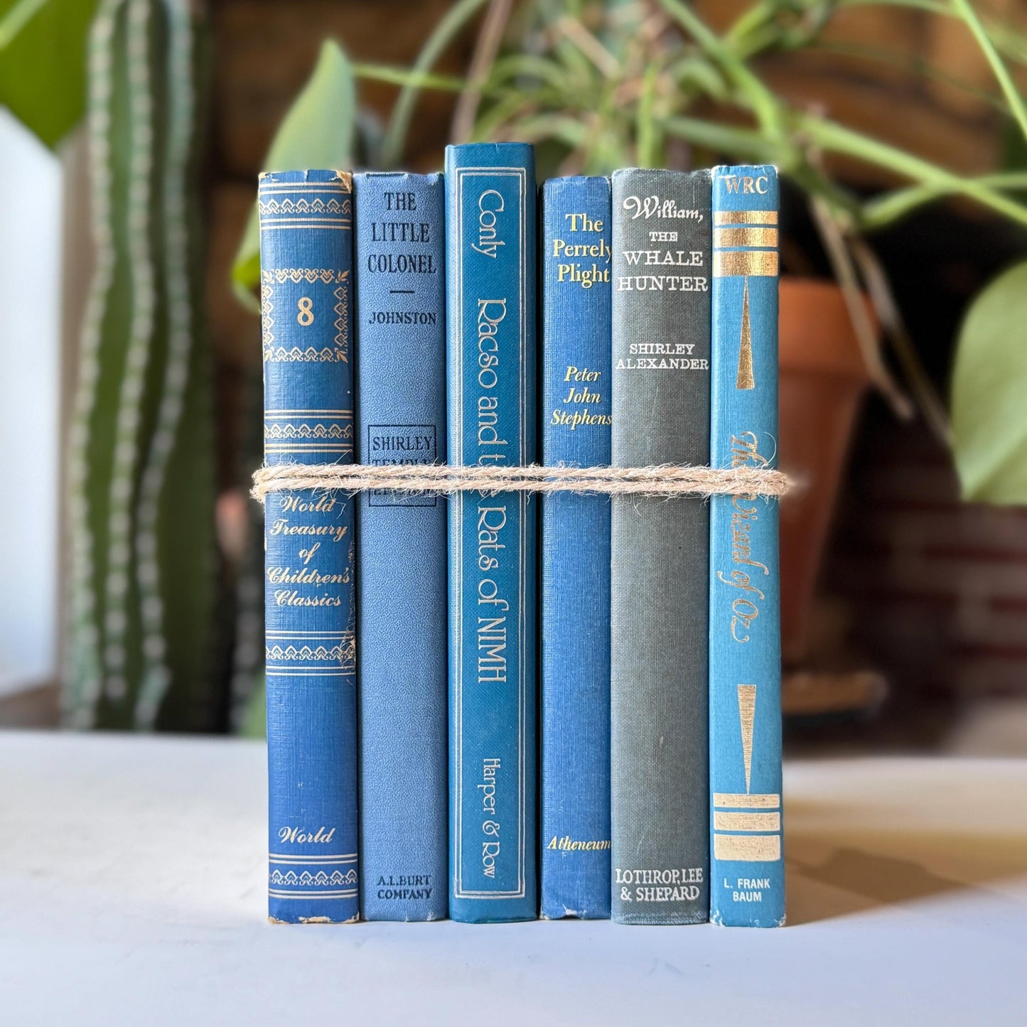 Blue Vintage Children’s Book Bundle Classic Stories for Shelf Styling and Decor - Pretty Old Books