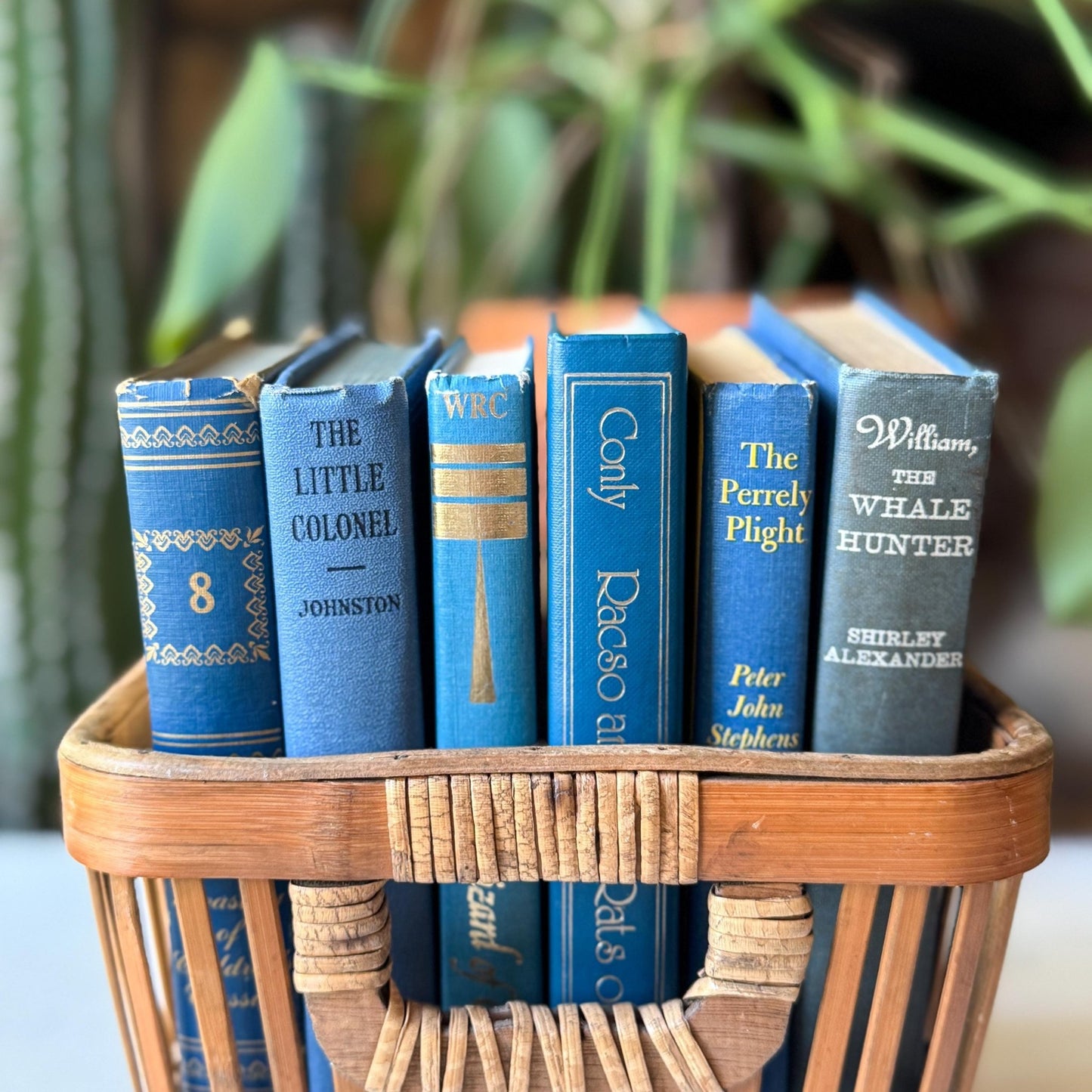 Blue Vintage Children’s Book Bundle Classic Stories for Shelf Styling and Decor - Pretty Old Books