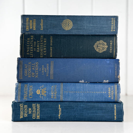 Blue Vintage Oversized Chunky Reference Books for Decor and Shelf Styling - Pretty Old Books