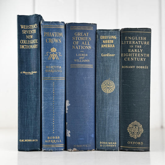 Blue Vintage Oversized Chunky Reference Books for Decor and Shelf Styling - Pretty Old Books