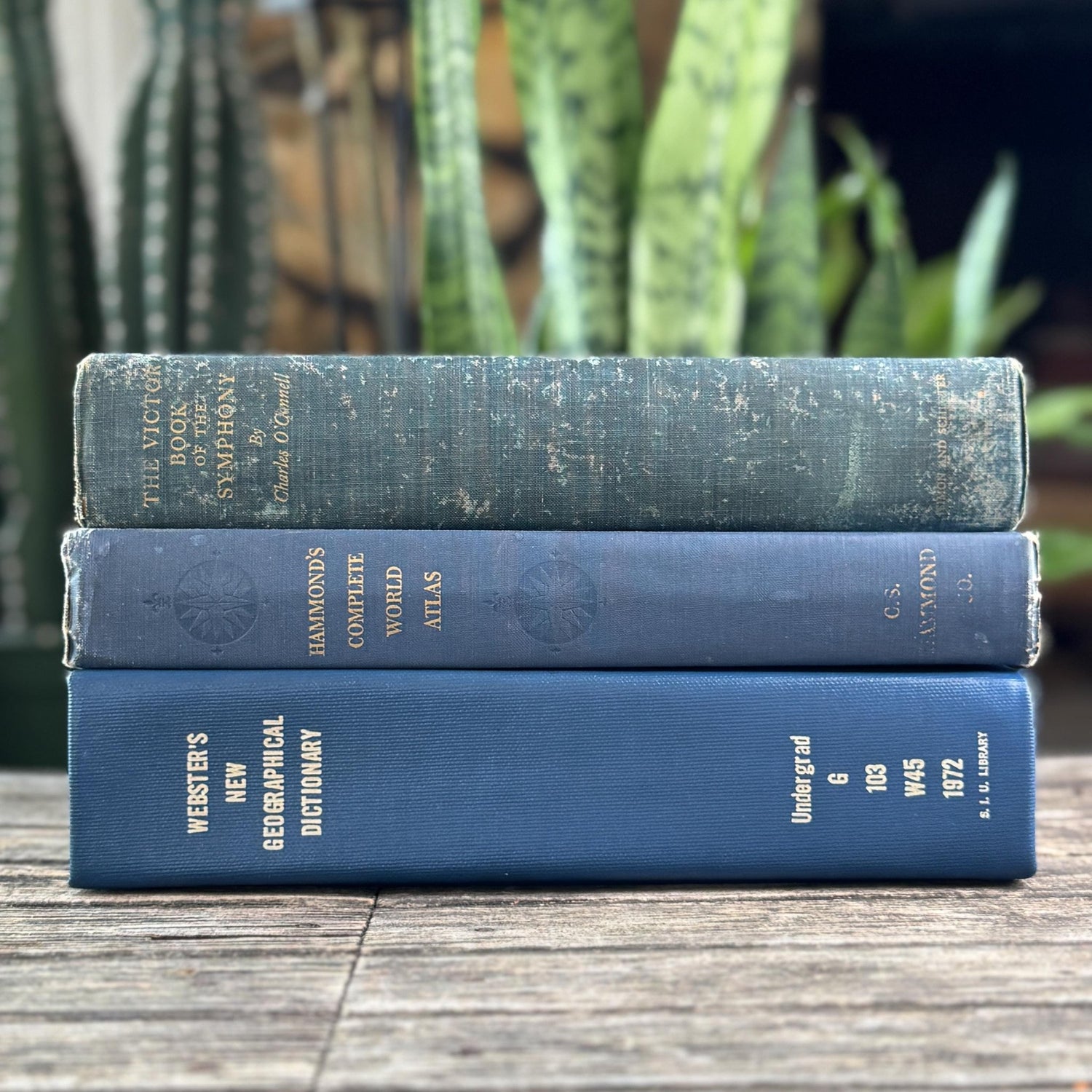 Blue Vintage Oversized Reference Books for Console Table Decor - Pretty Old Books