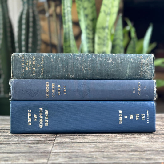 Blue Vintage Oversized Reference Books for Console Table Decor - Pretty Old Books