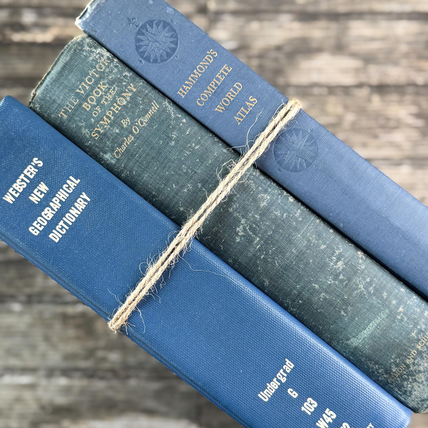 Blue Vintage Oversized Reference Books for Console Table Decor - Pretty Old Books
