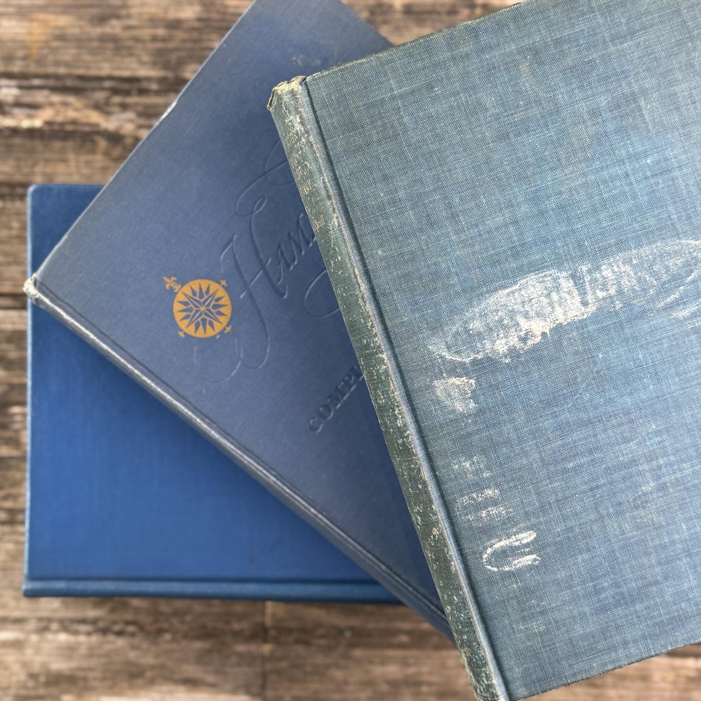 Blue Vintage Oversized Reference Books for Console Table Decor - Pretty Old Books