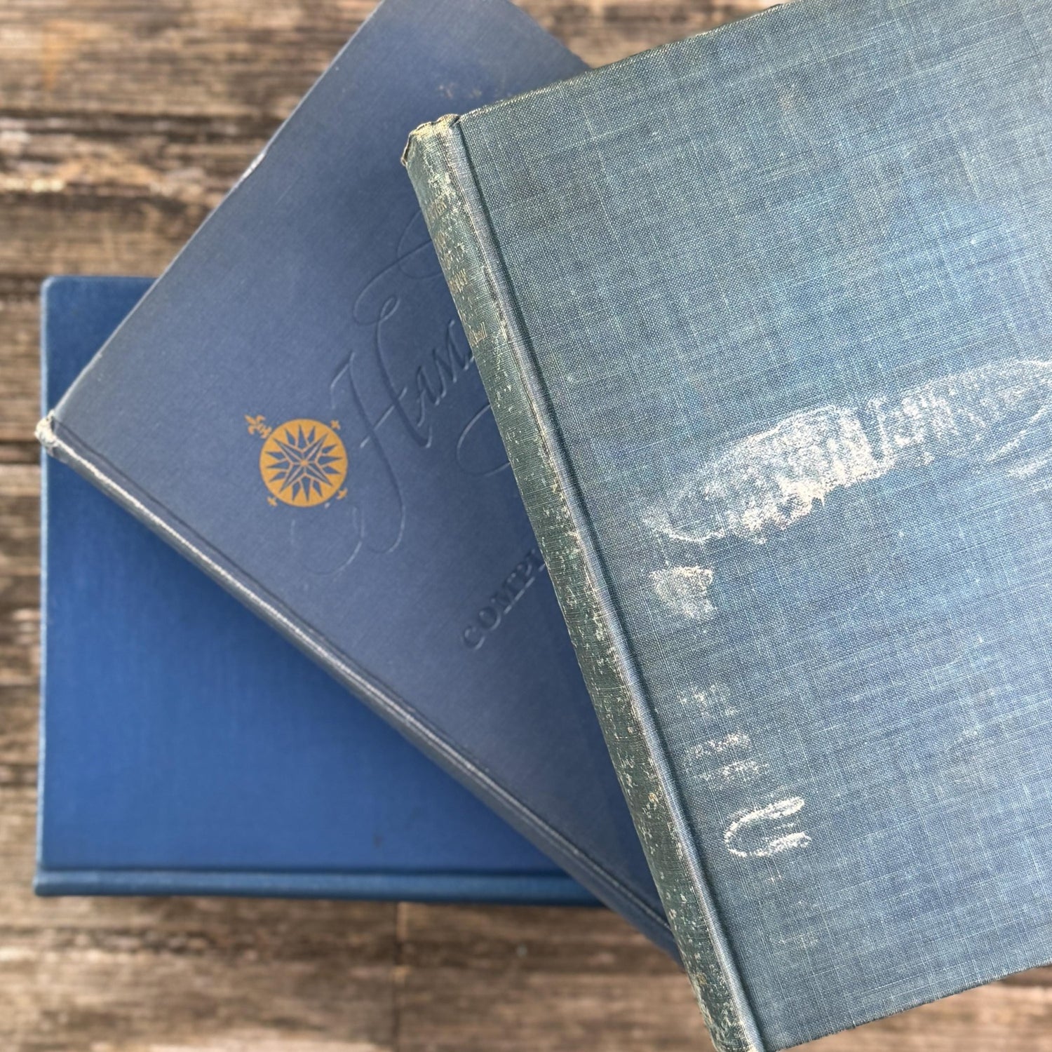 Blue Vintage Oversized Reference Books for Console Table Decor - Pretty Old Books