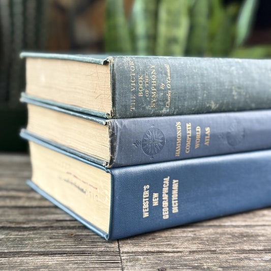 Blue Vintage Oversized Reference Books for Console Table Decor - Pretty Old Books