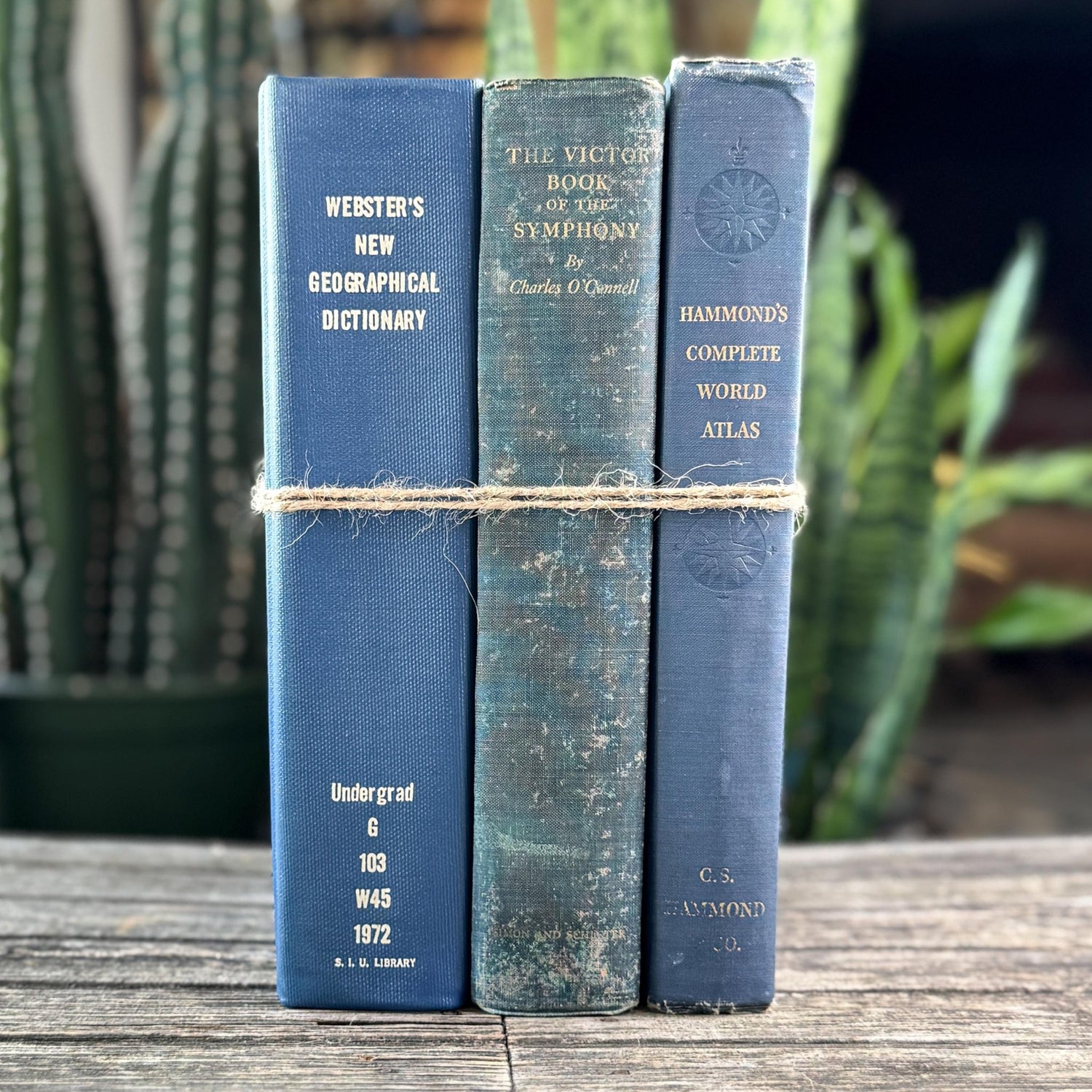 Blue Vintage Oversized Reference Books for Console Table Decor - Pretty Old Books