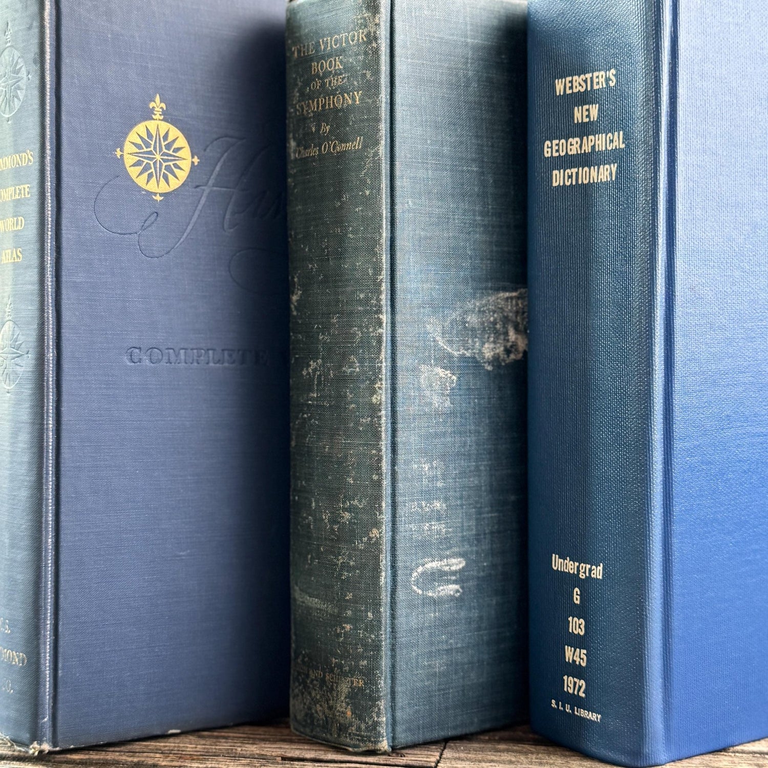 Blue Vintage Oversized Reference Books for Console Table Decor - Pretty Old Books