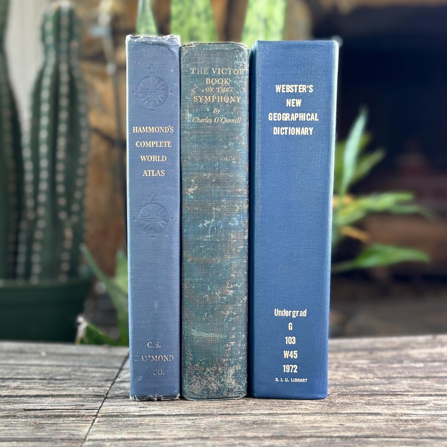 Blue Vintage Oversized Reference Books for Console Table Decor - Pretty Old Books