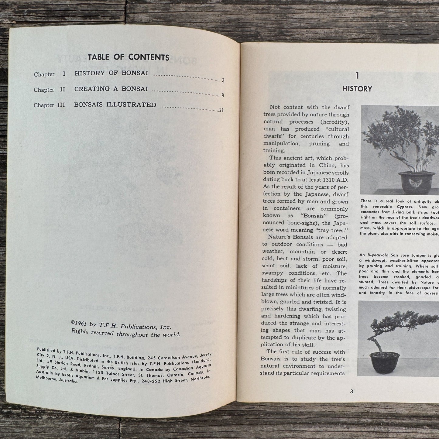 Bonsai, Mid Century Paperback, 1961 - Pretty Old Books