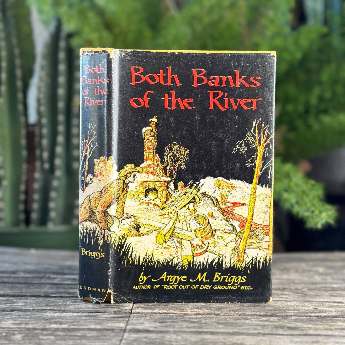 Both Banks of the River, First Edition, 1954, Argye M. Briggs - Pretty Old Books