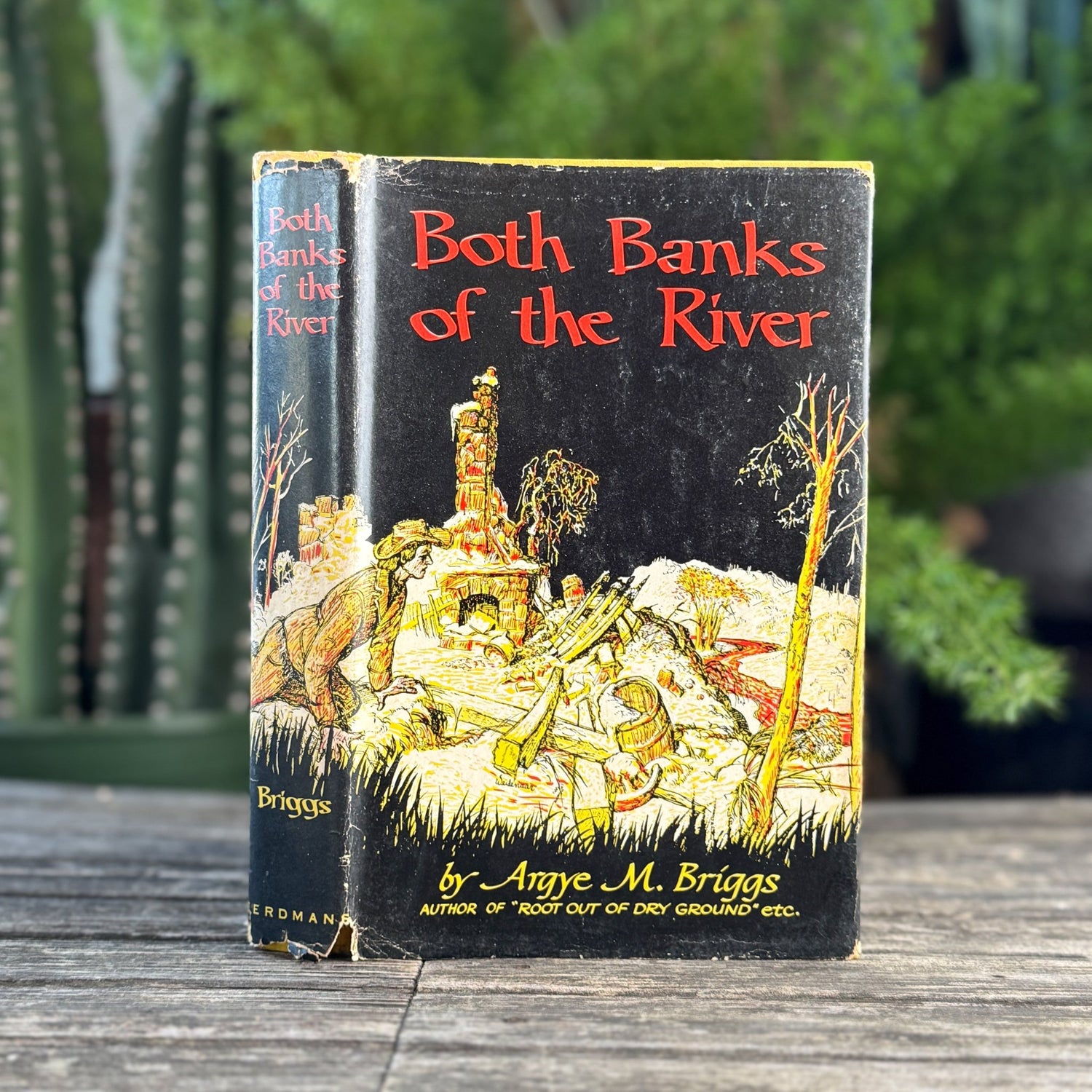 Both Banks of the River, First Edition, 1954, Argye M. Briggs - Pretty Old Books