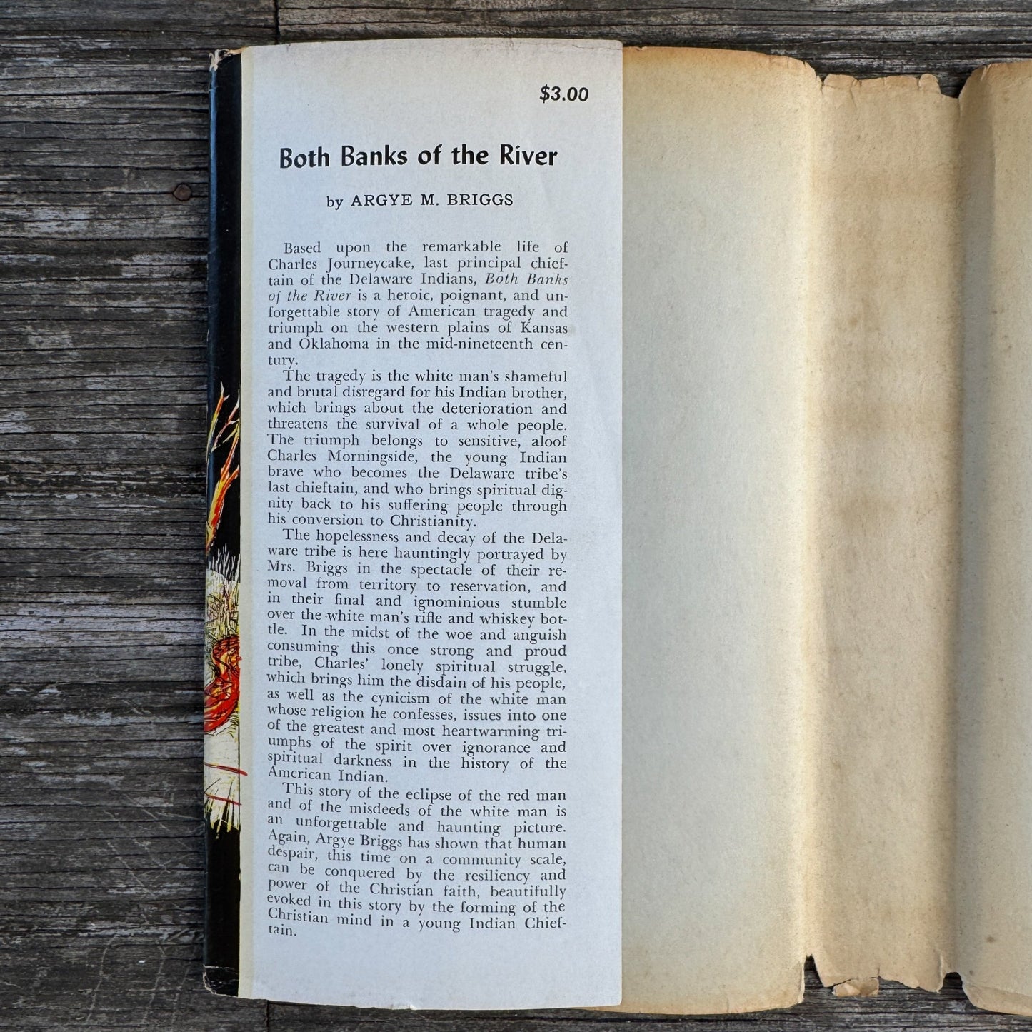 Both Banks of the River, First Edition, 1954, Argye M. Briggs - Pretty Old Books