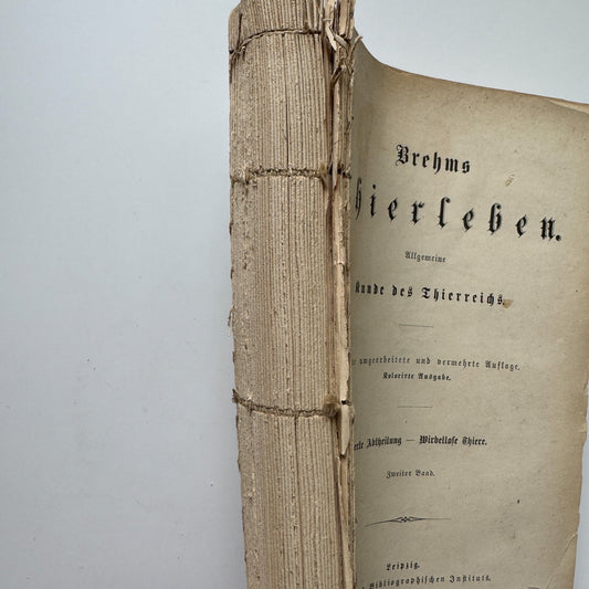 Brehm’s Life of Animals: A General Account of the Animal Kingdom, 1884 - Pretty Old Books