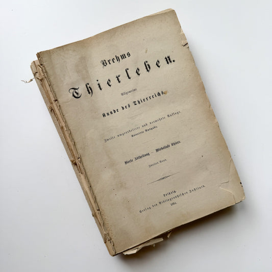 Brehm’s Life of Animals: A General Account of the Animal Kingdom, 1884 - Pretty Old Books
