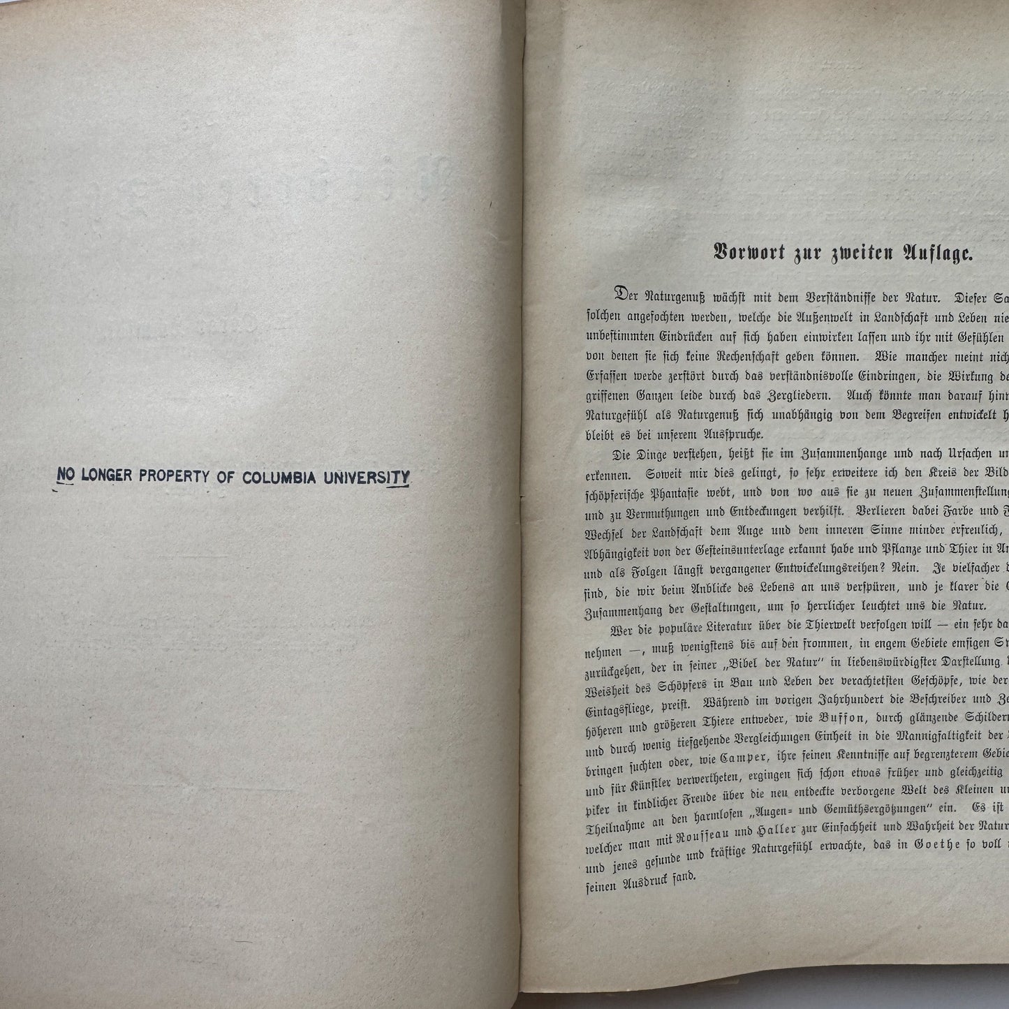 Brehm’s Life of Animals: A General Account of the Animal Kingdom, 1884 - Pretty Old Books