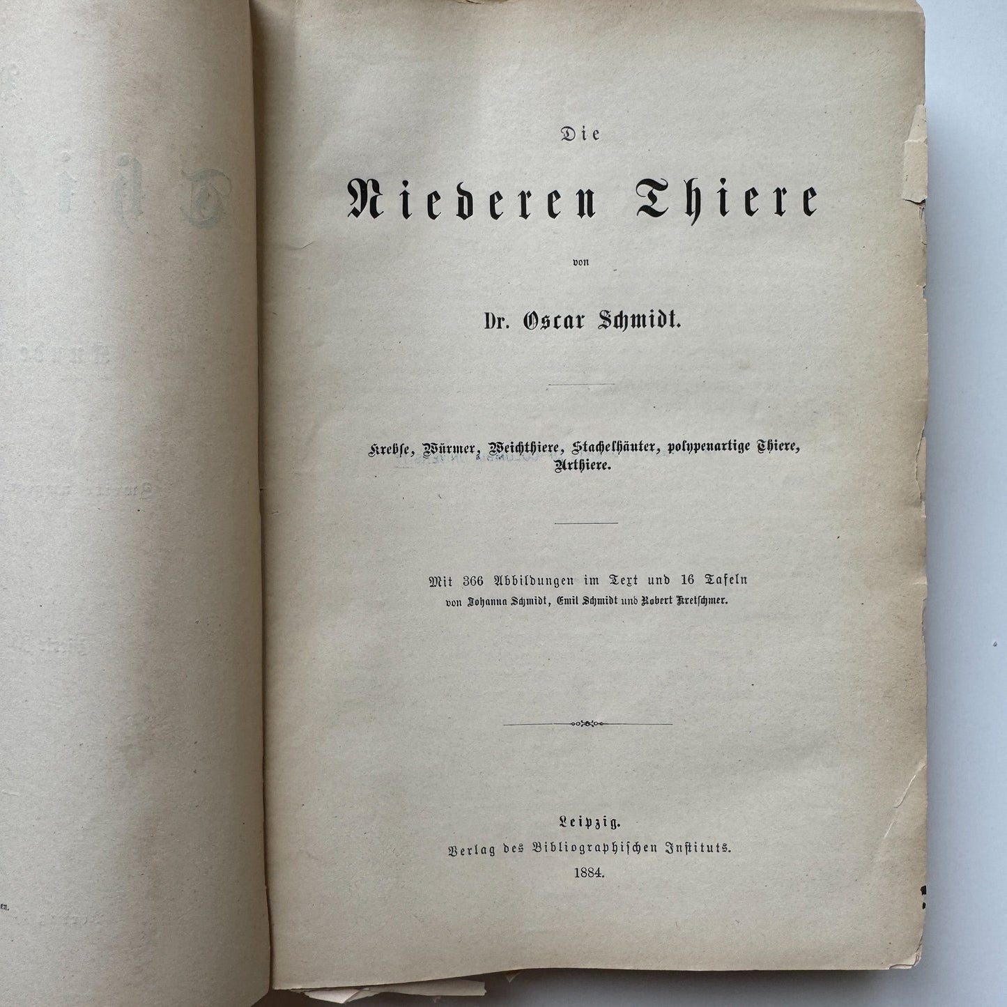 Brehm’s Life of Animals: A General Account of the Animal Kingdom, 1884 - Pretty Old Books