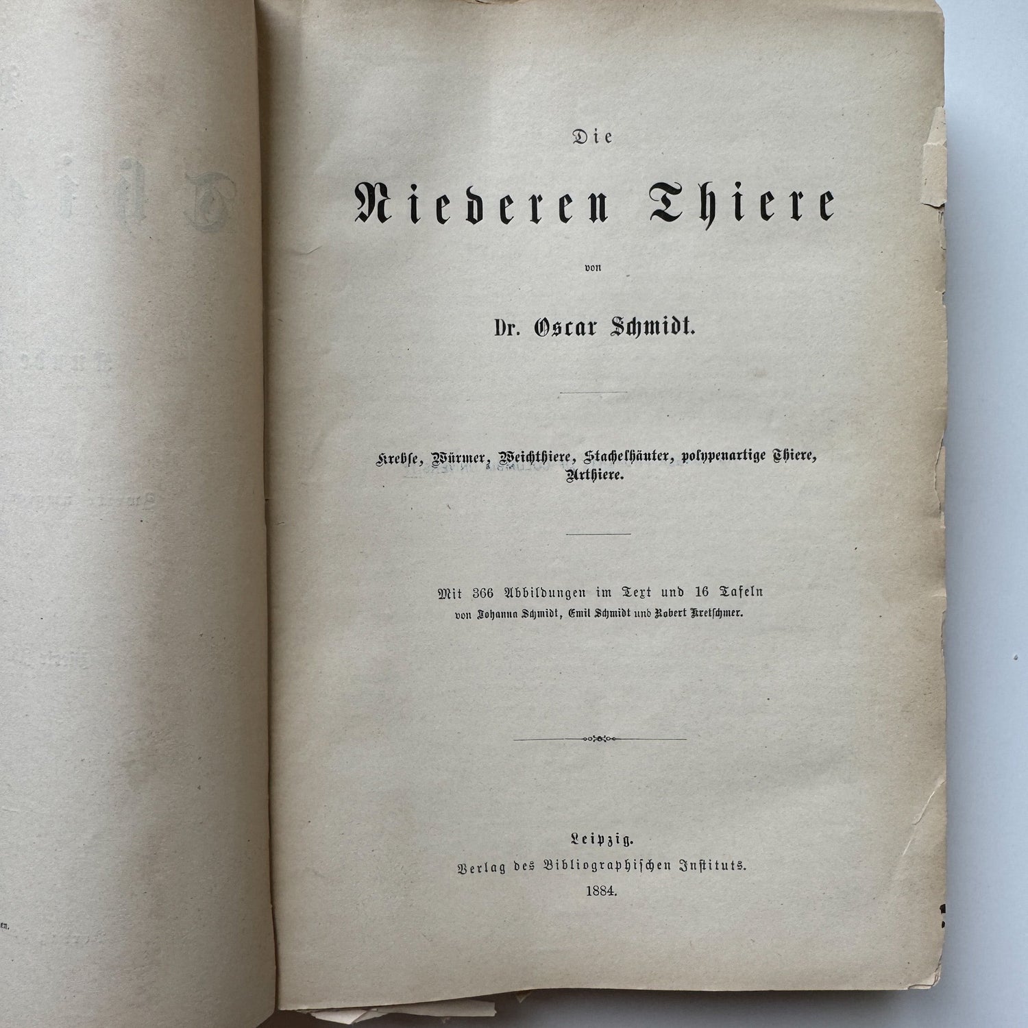 Brehm’s Life of Animals: A General Account of the Animal Kingdom, 1884 - Pretty Old Books